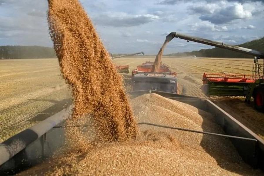 Crop Production