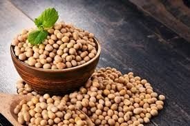 Edible Oils